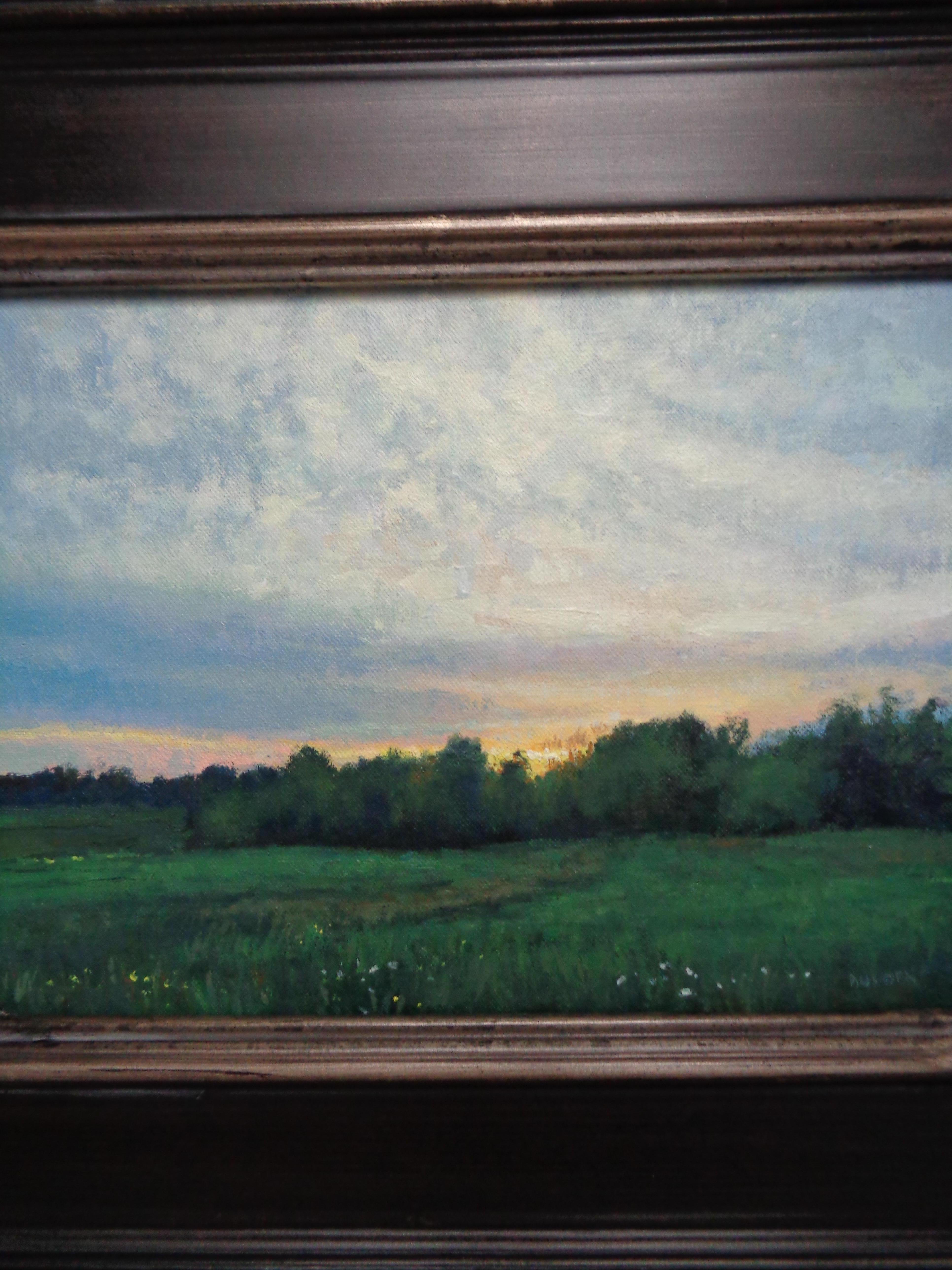 Peinture à l'huile impressionniste de Michael Budden, étude des nuages de ciel en vente 3