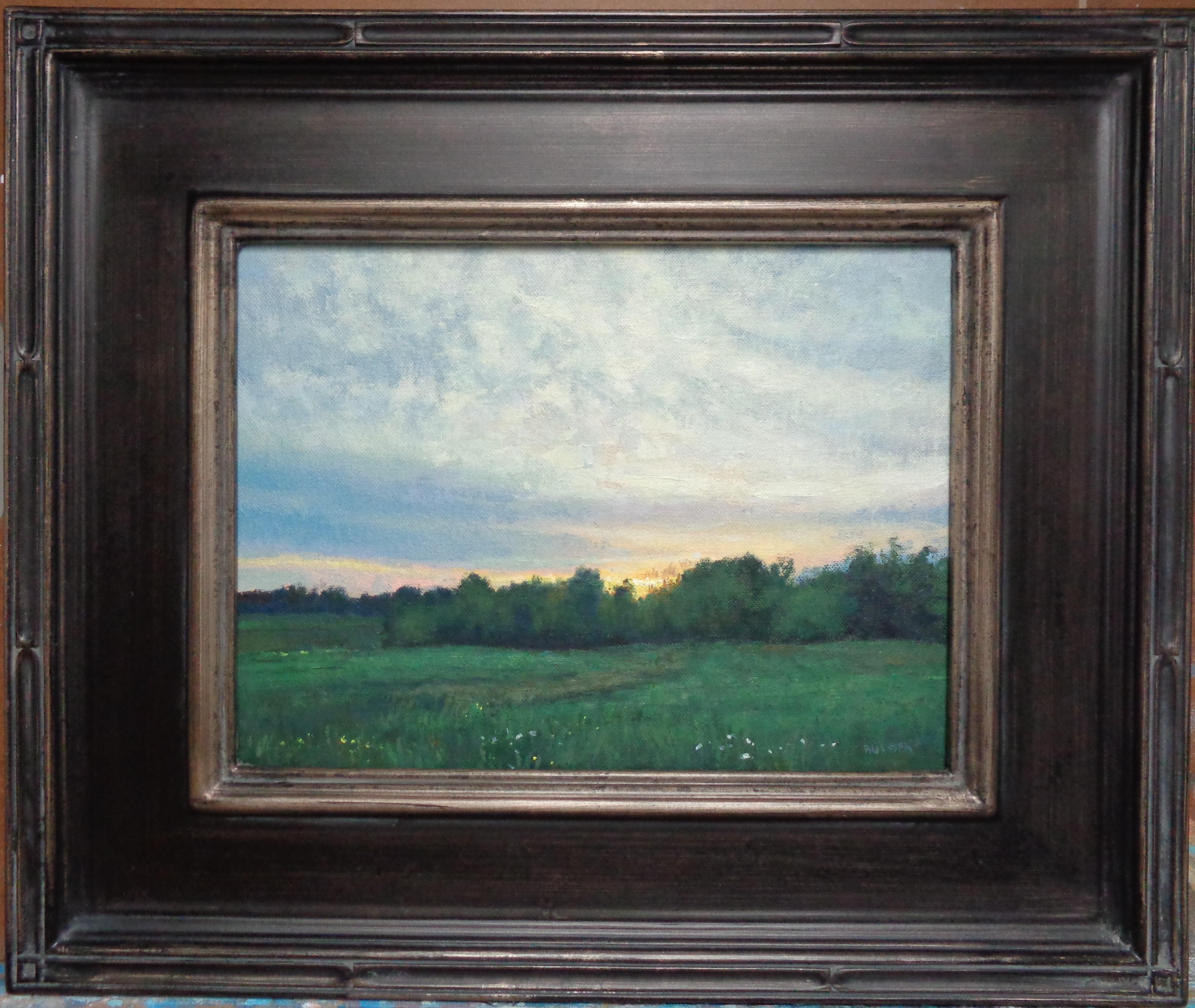 Morning  Sky
oil/panel
9 x 12 unframed, 15.5 x 18.5 framed
Morning Sky is a new oil on panel painting just completed in the studio. The painting exudes the rich qualities of oil paint with bright strong color, a variety of lost and found edges,