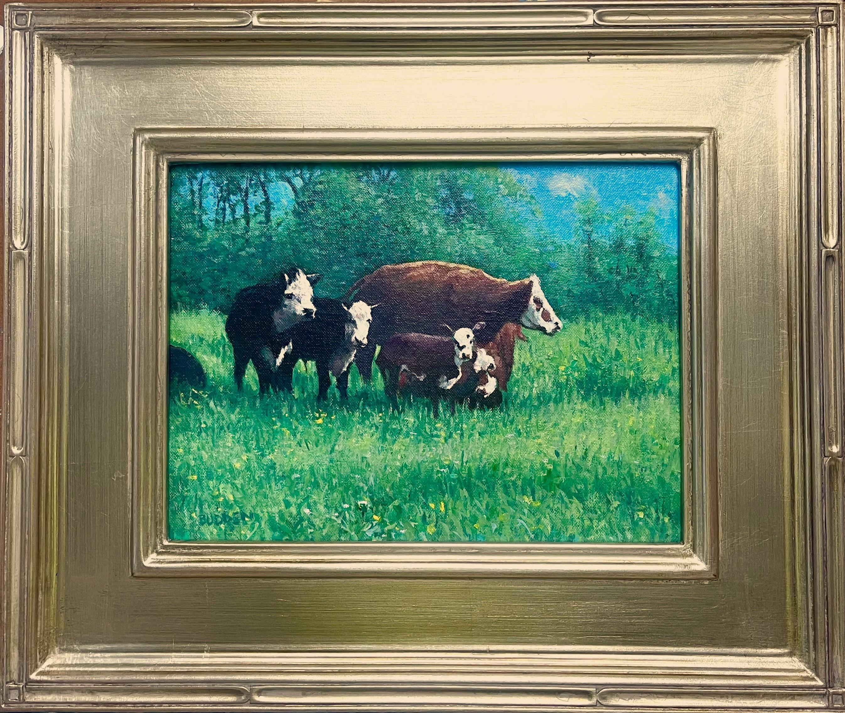 Summer Pasture, Cows è un dipinto a olio su tela del pluripremiato artista contemporaneo Michael Budden che mostra una bellissima veduta estiva di un prato con un gruppo di mucche e i loro piccoli.  Questo quadro è nuovo e l'immagine misura 9 x 12