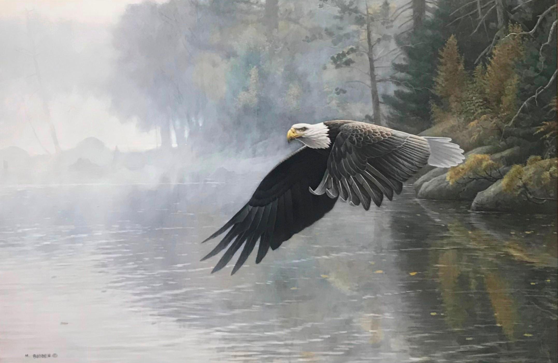 Pittura realistica di paesaggio della fauna selvatica Aquila calva Michael Budden in vendita 1