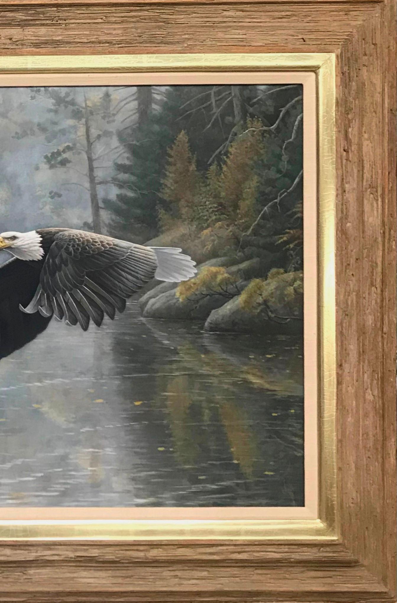 Pittura realistica di paesaggio della fauna selvatica Aquila calva Michael Budden in vendita 2