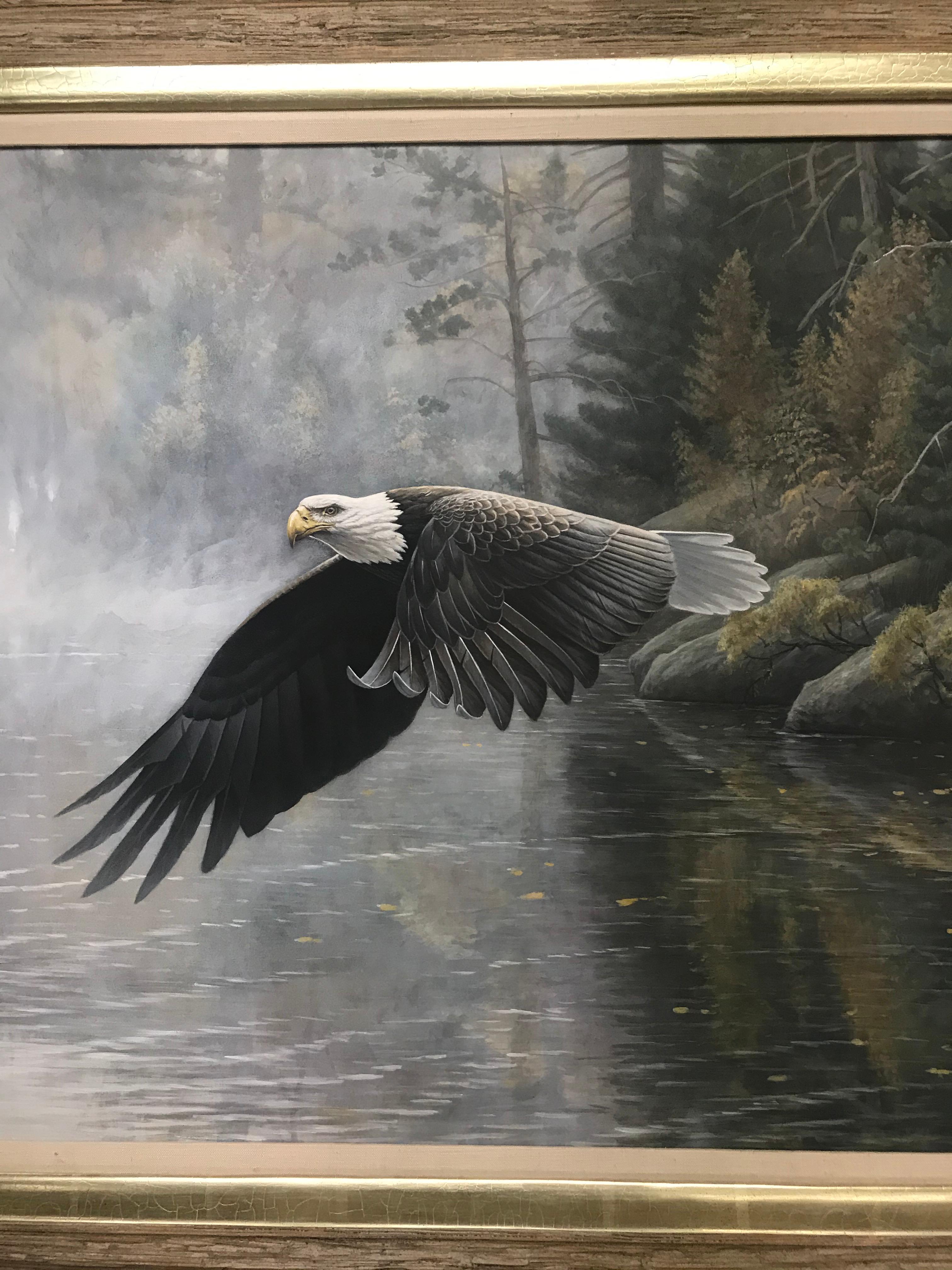 Pittura realistica di paesaggio della fauna selvatica Aquila calva Michael Budden in vendita 4