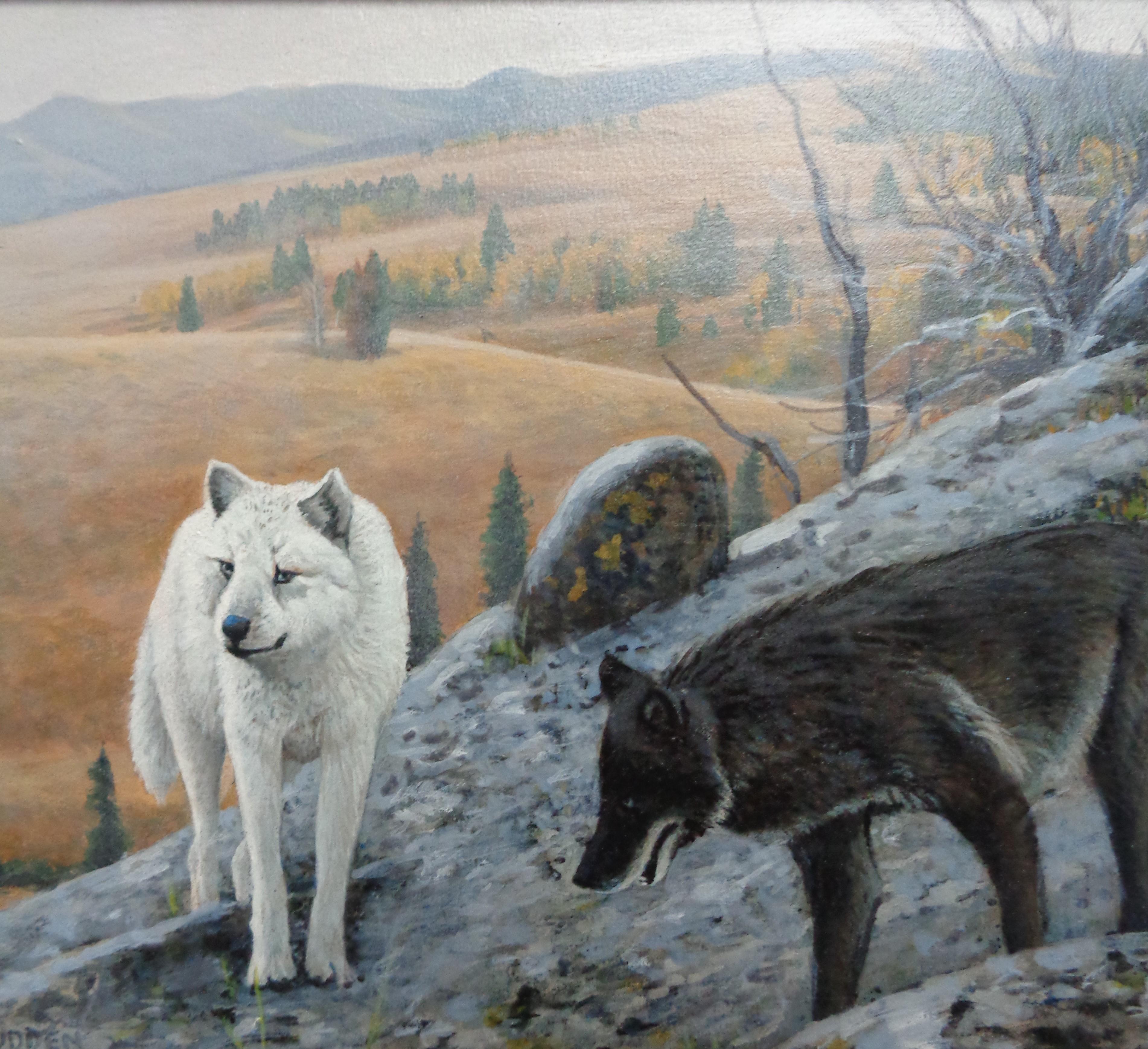 Pittura di paesaggi selvatici di Michael Budden Animali Lupi in vendita 2