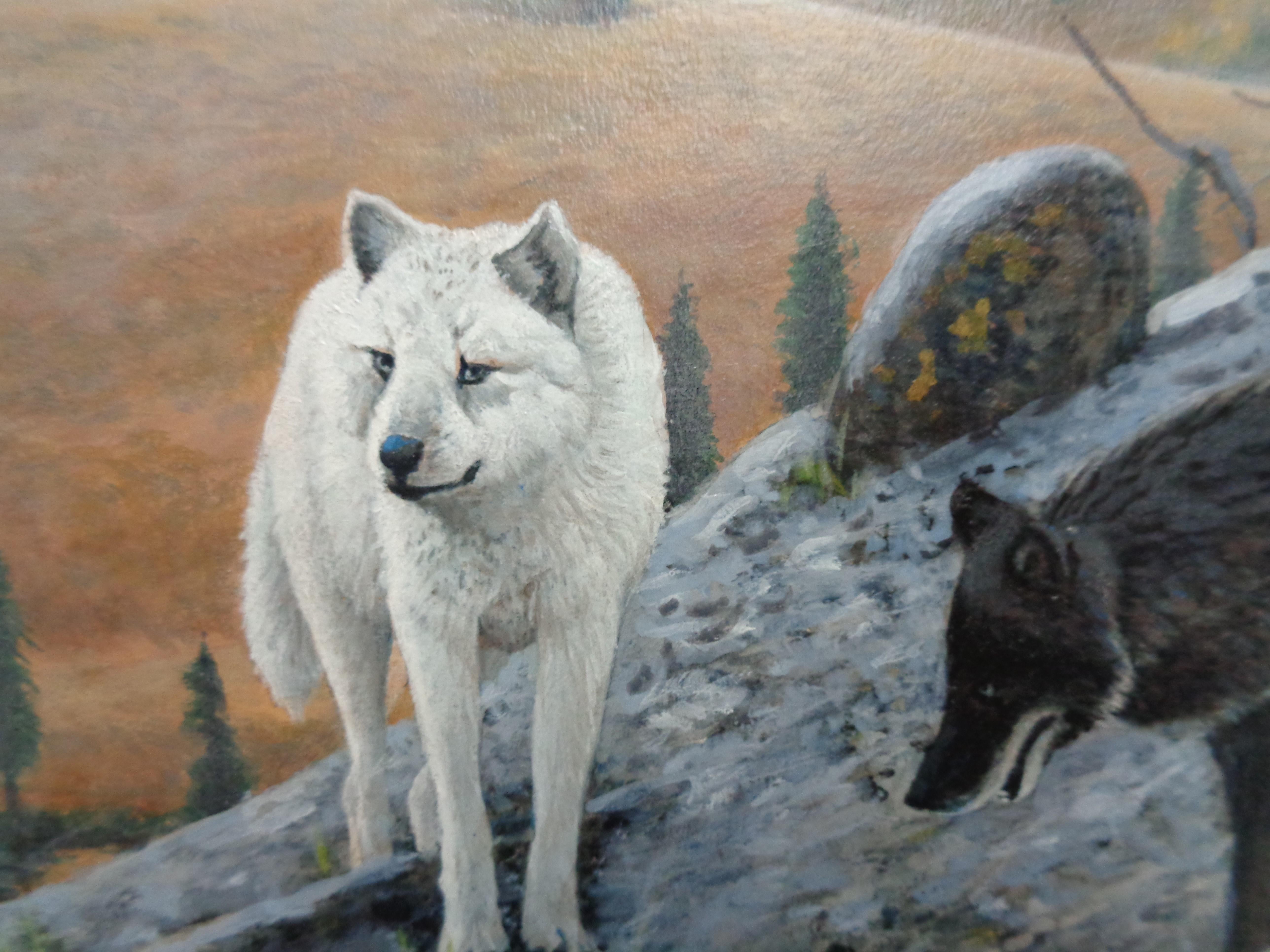 Pittura di paesaggi selvatici di Michael Budden Animali Lupi in vendita 4