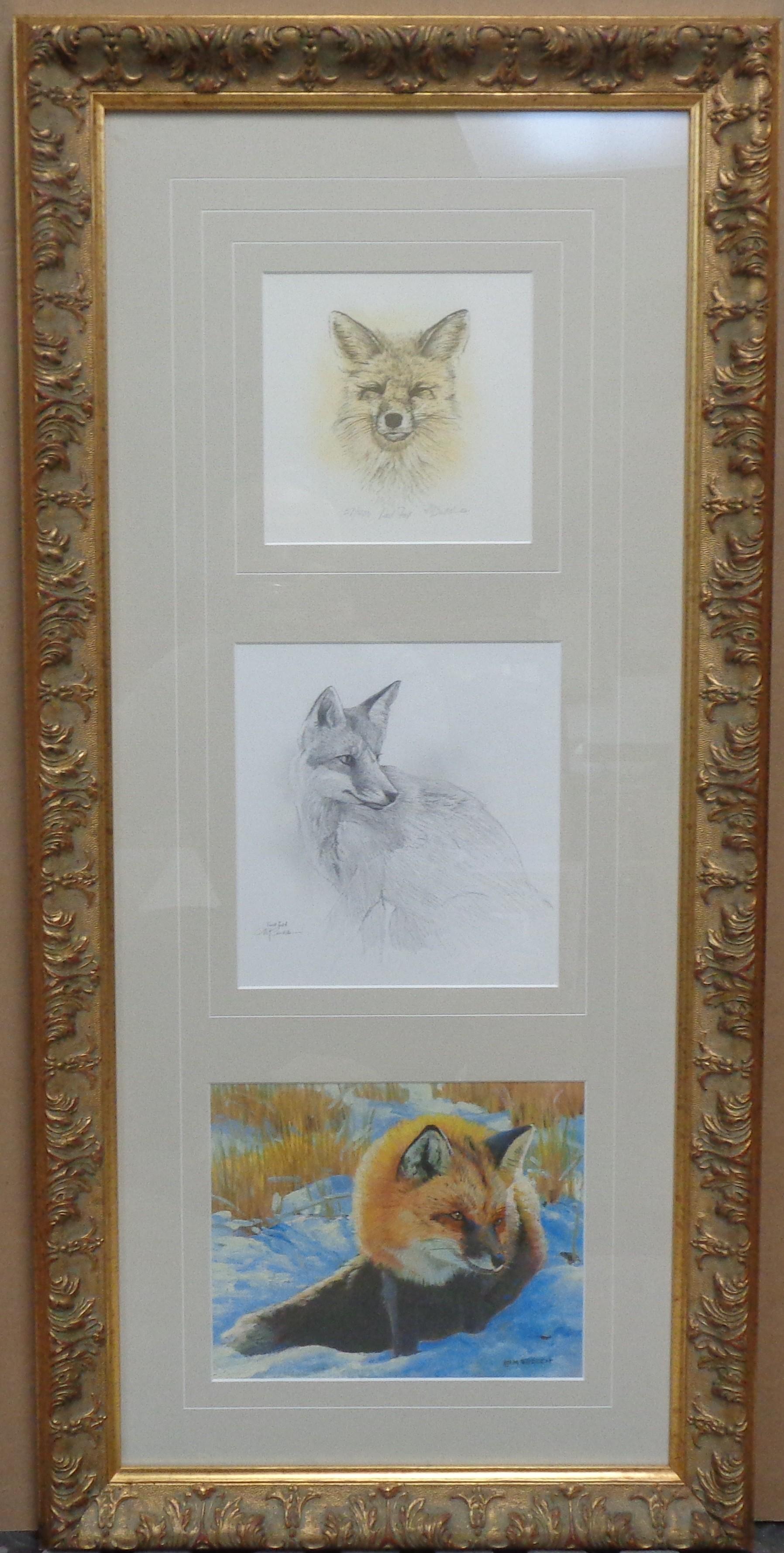 Red Fox Triptych
 The framed dimensions are 38.25 x 18.50
Here is a very unique wildlife piece featuring the beautiful Red Fox I did many years ago when i was painting wildlife. It is exquisitely framed as pictured with three fox versions. A print