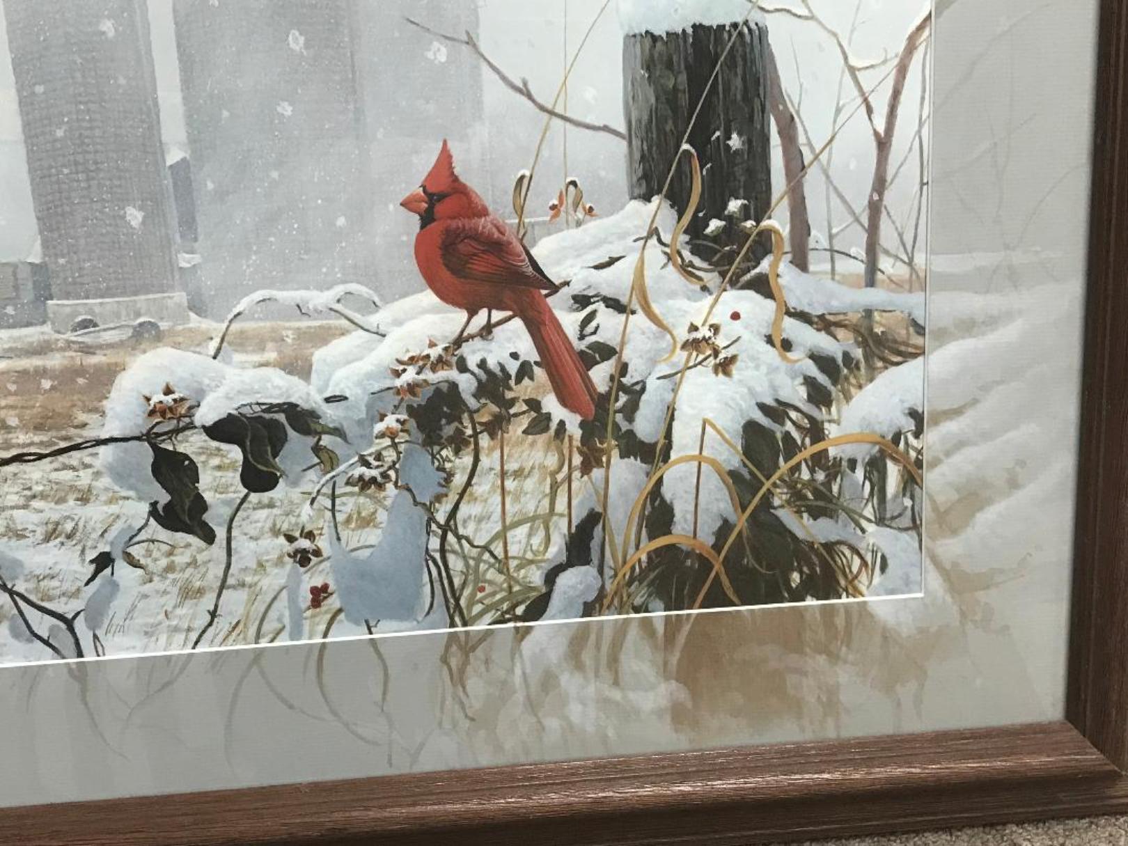 Winter Cardinal, Contemporary Wildlife Art Print with Remarque hand painted mat - Painting by Michael Budden