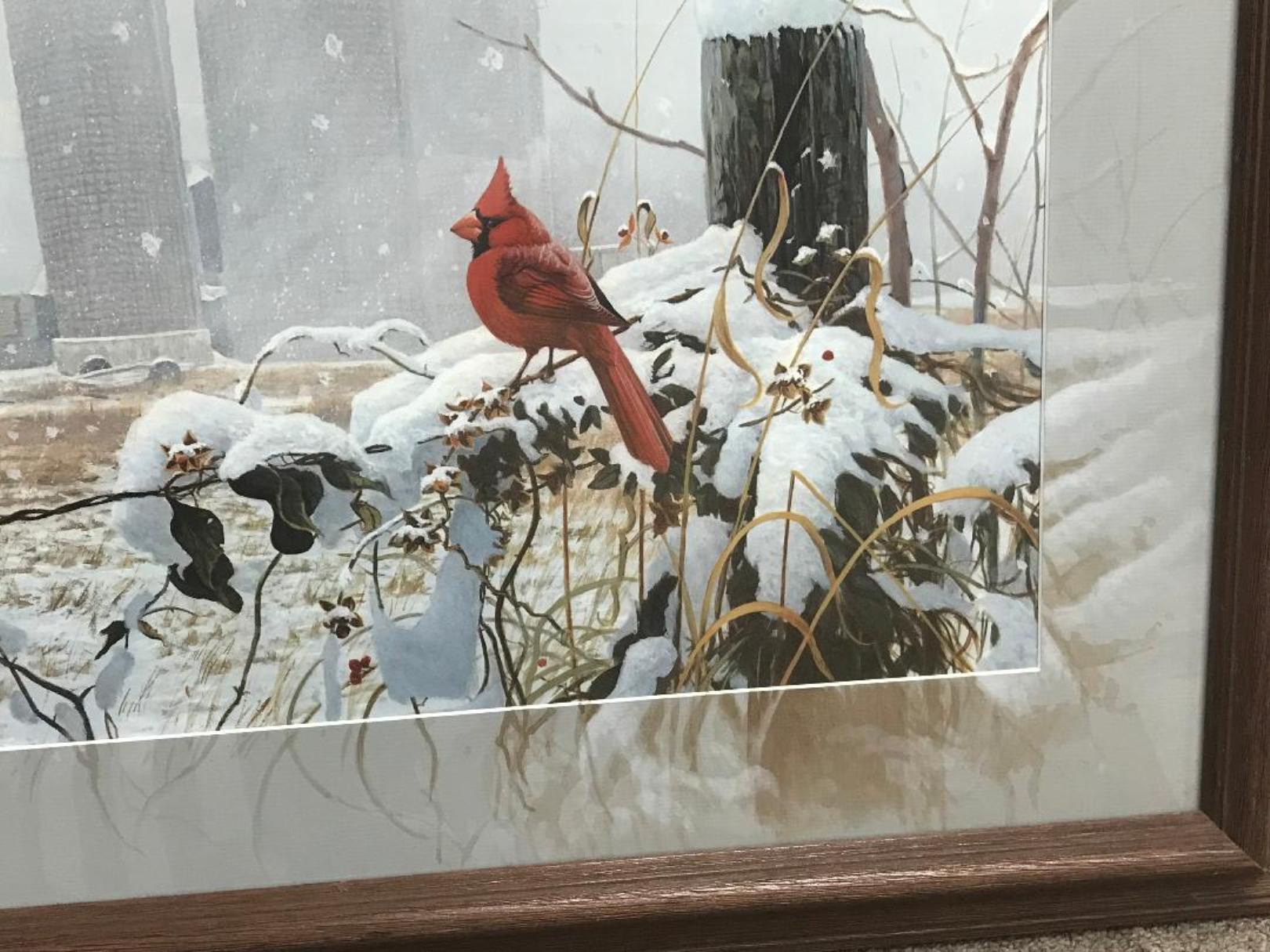 Cardenal de invierno, Impresión artística contemporánea de fauna y flora silvestres con estera pintada a mano Remarque - Painting de Michael Budden