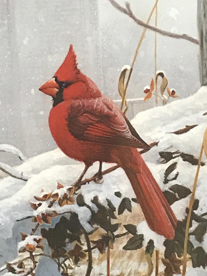 Winter Cardinal, Contemporary Wildlife Art Print with Remarque hand painted mat - Realist Painting by Michael Budden