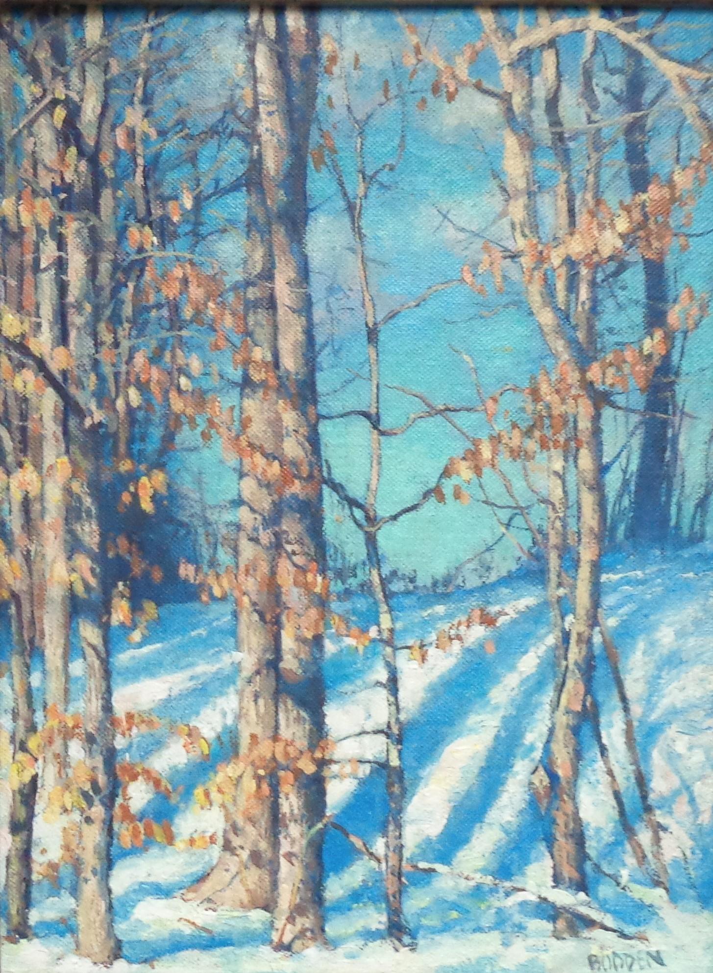 Winterlandschaft, Ölgemälde von Michael Budden, Schönes Licht im Angebot 1