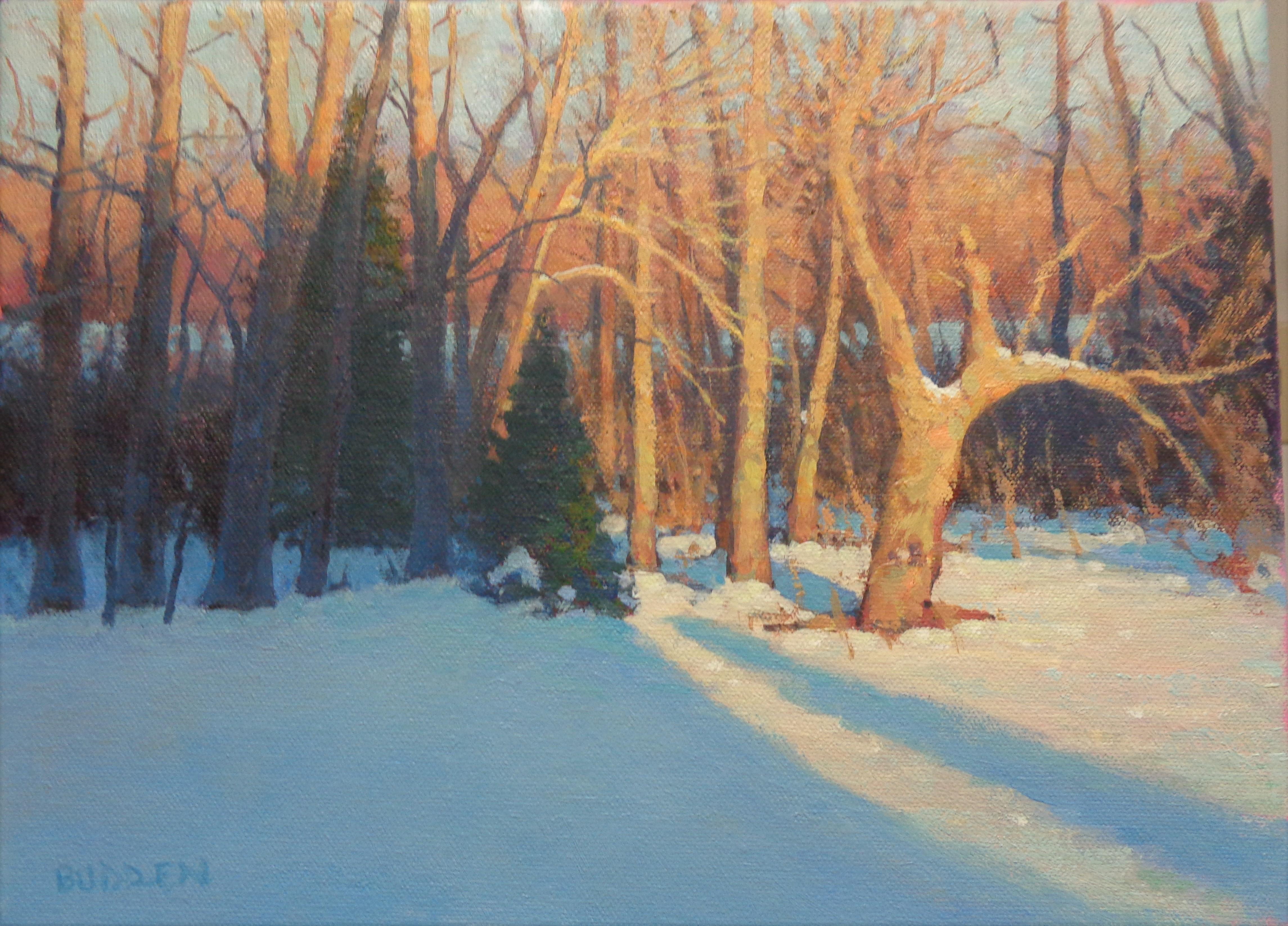   Winterlandschaft, Ölgemälde von Michael Budden, Sonnenlicht und Schatten, Winterbäume im Angebot 1