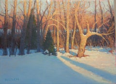 Winterlandschaft, Ölgemälde von Michael Budden, Sonnenlicht und Schatten, Winterbäume