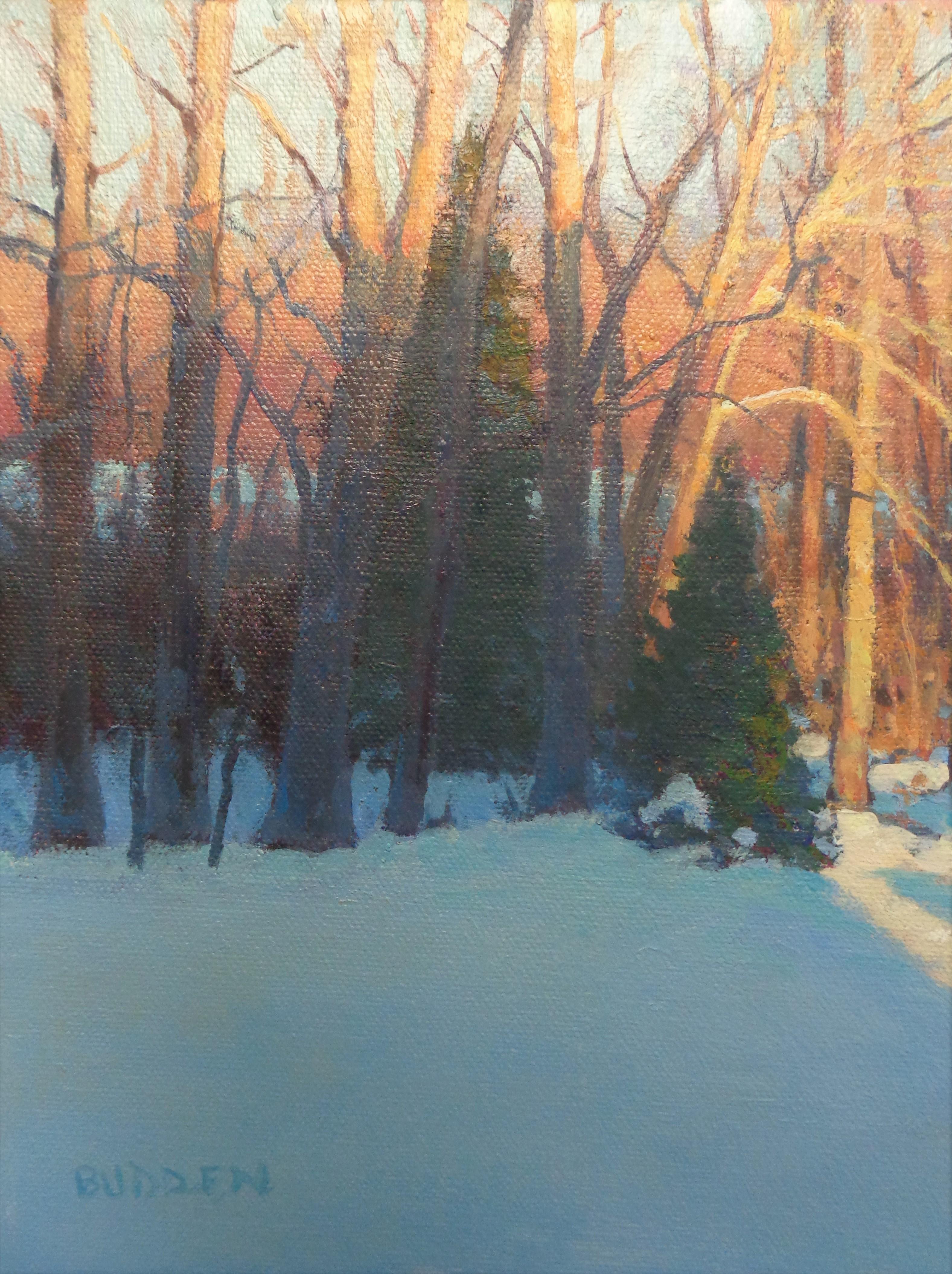  Winterlandschaft, Ölgemälde von Michael Budden, Sonnenlicht und Schatten, Winterbäume im Angebot 2