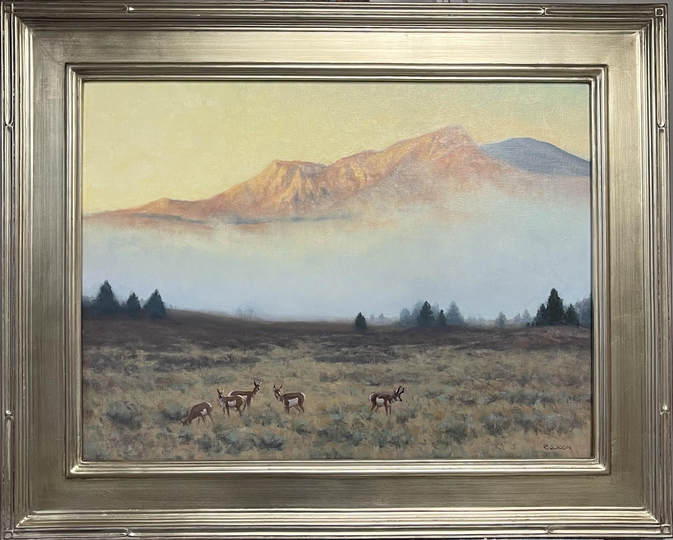 Prairie Nomads, Pronghorn Antelope
oil/linen
18 x 24 image unframed 24.5 x 30.5 framed
An oil painting on linen canvas by award winning contemporary artist Michael Budden that showcases a herd of pronghorn antelope in their natural environment in