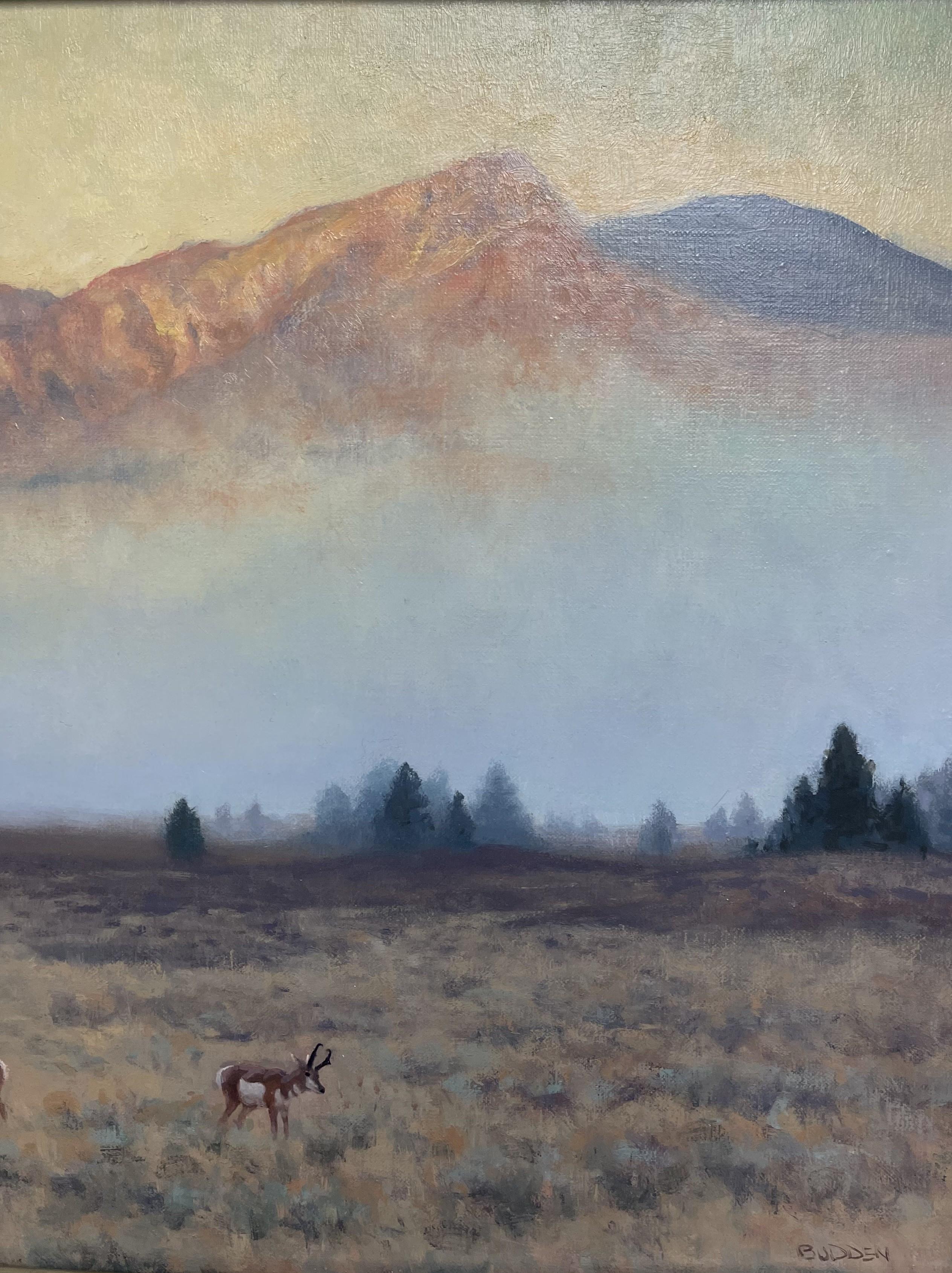 Yellowstone Prong Horn ImpressionistaRealismo Pittura di fauna selvatica Michael Budden in vendita 3