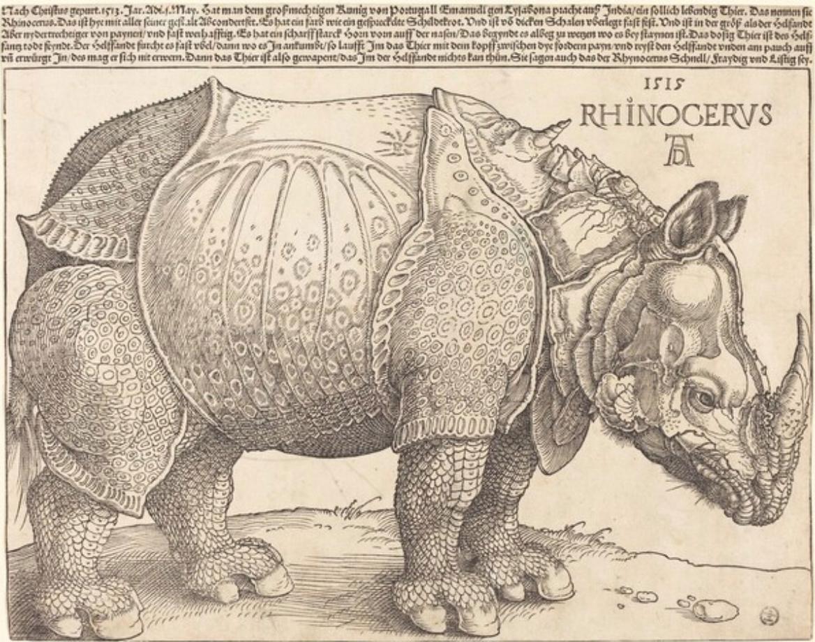Gravure Rhinoceros de Michael Canney, 1947  D'après le Rhinocéros de Dürer 1515 en vente 3