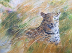Michael Carlson - Contemporary Oil, Crouching Leopard