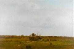 Grazing Cattle by Michael Coleman