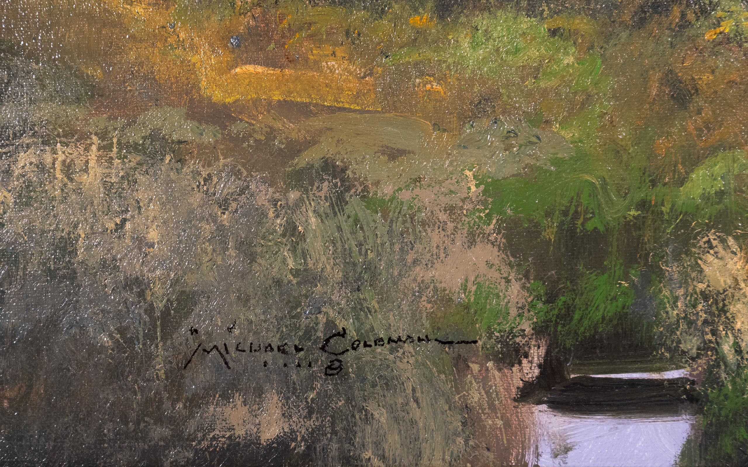 Spring Meadow de Michael Coleman 2