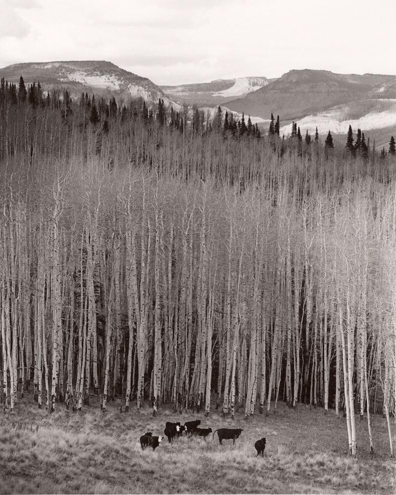 Michael Crouser Landscape Photograph – Burns, Colorado