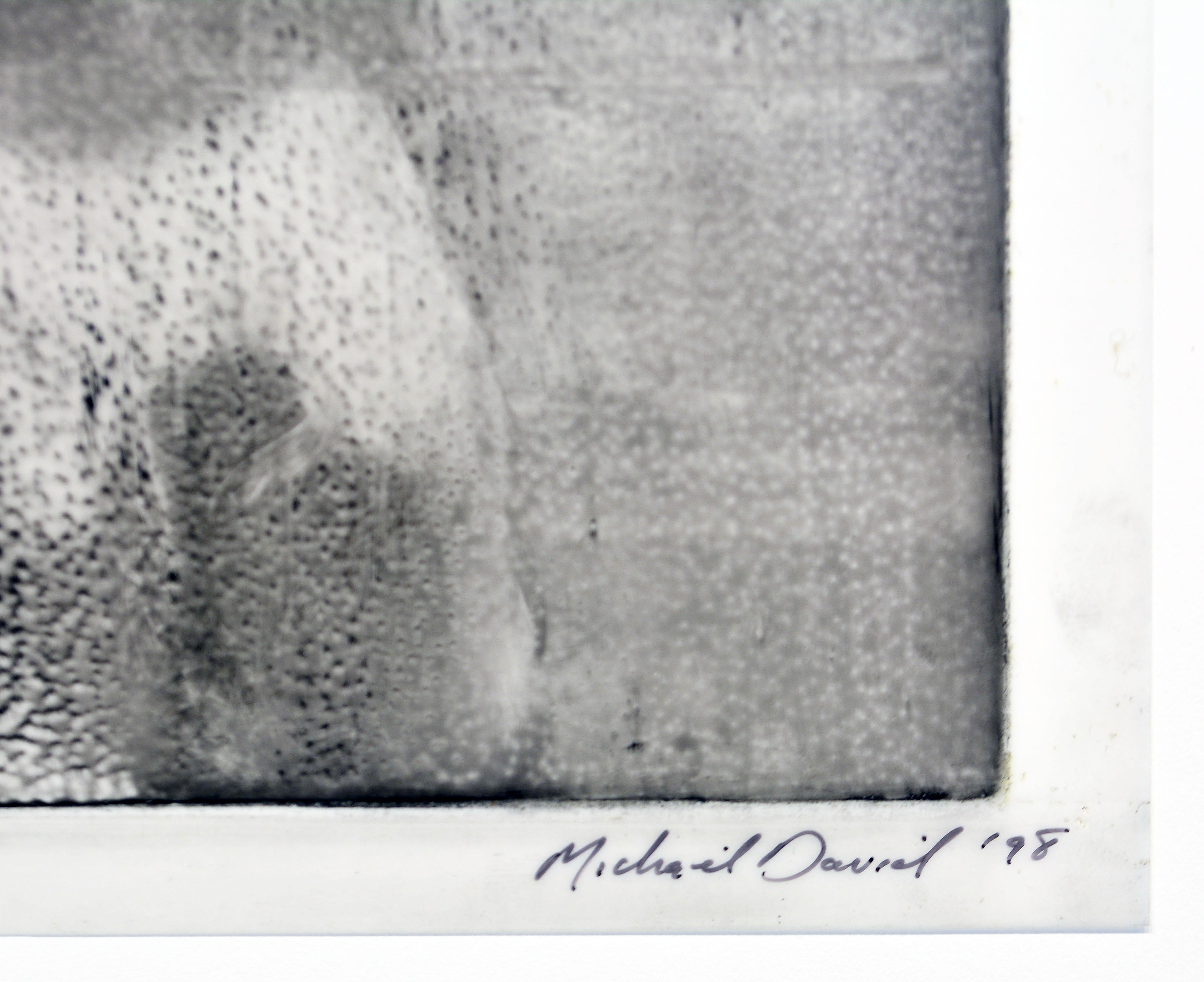 Modern Michael David US b. 1954 'Small Shower III' Photo Based Ink on Mylar Male Nude For Sale
