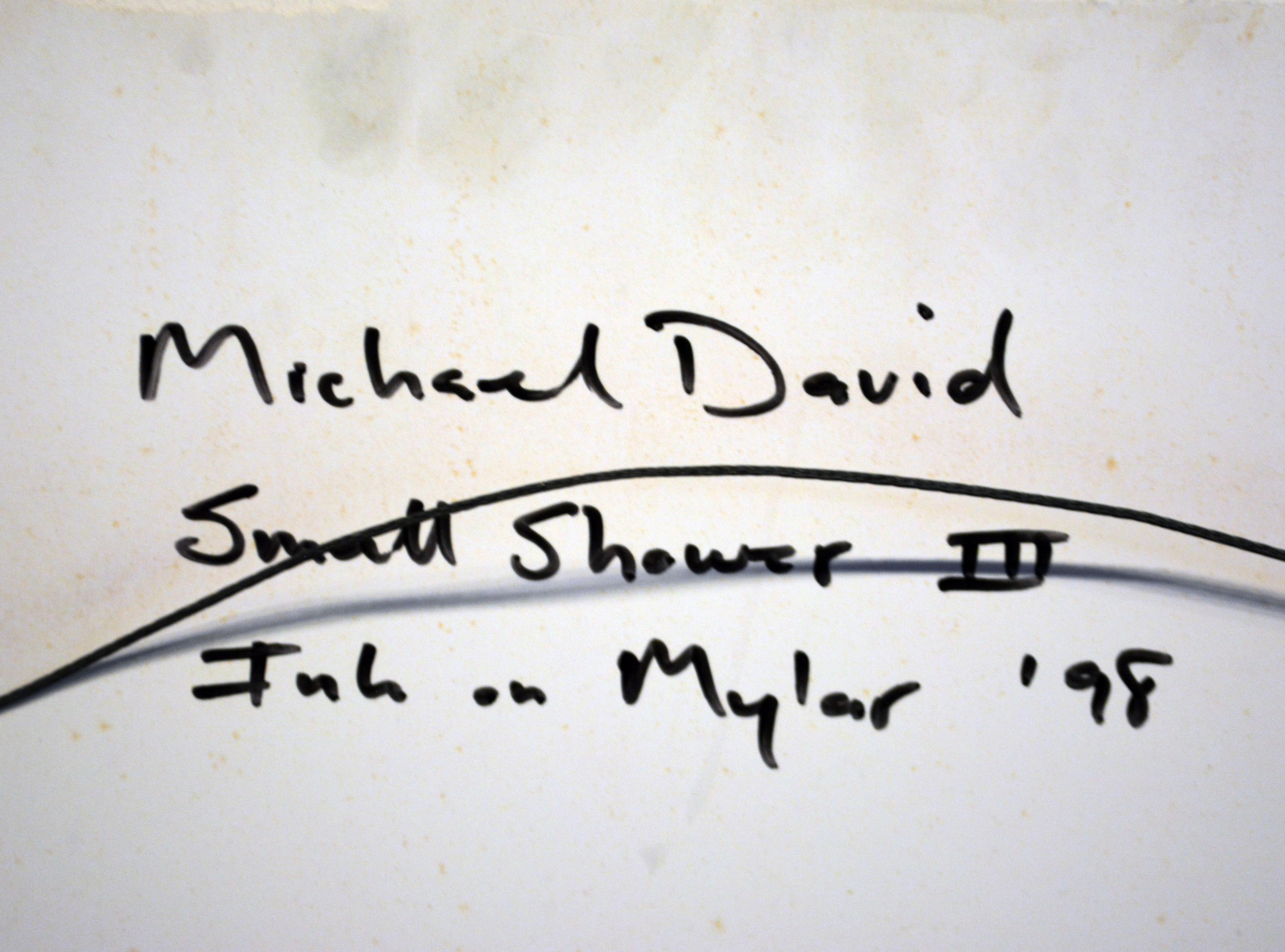 Michael David US b. 1954 « Small Shower III » Photo Based Ink on Mylar Male Nude en vente 3