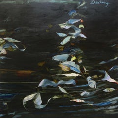 Used Dream Of Storm On Darling