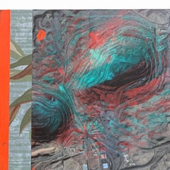 Multi-National LLC’s