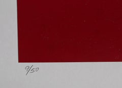 "Space Journey, " Photograph by Michael DeCamp, circa 1975