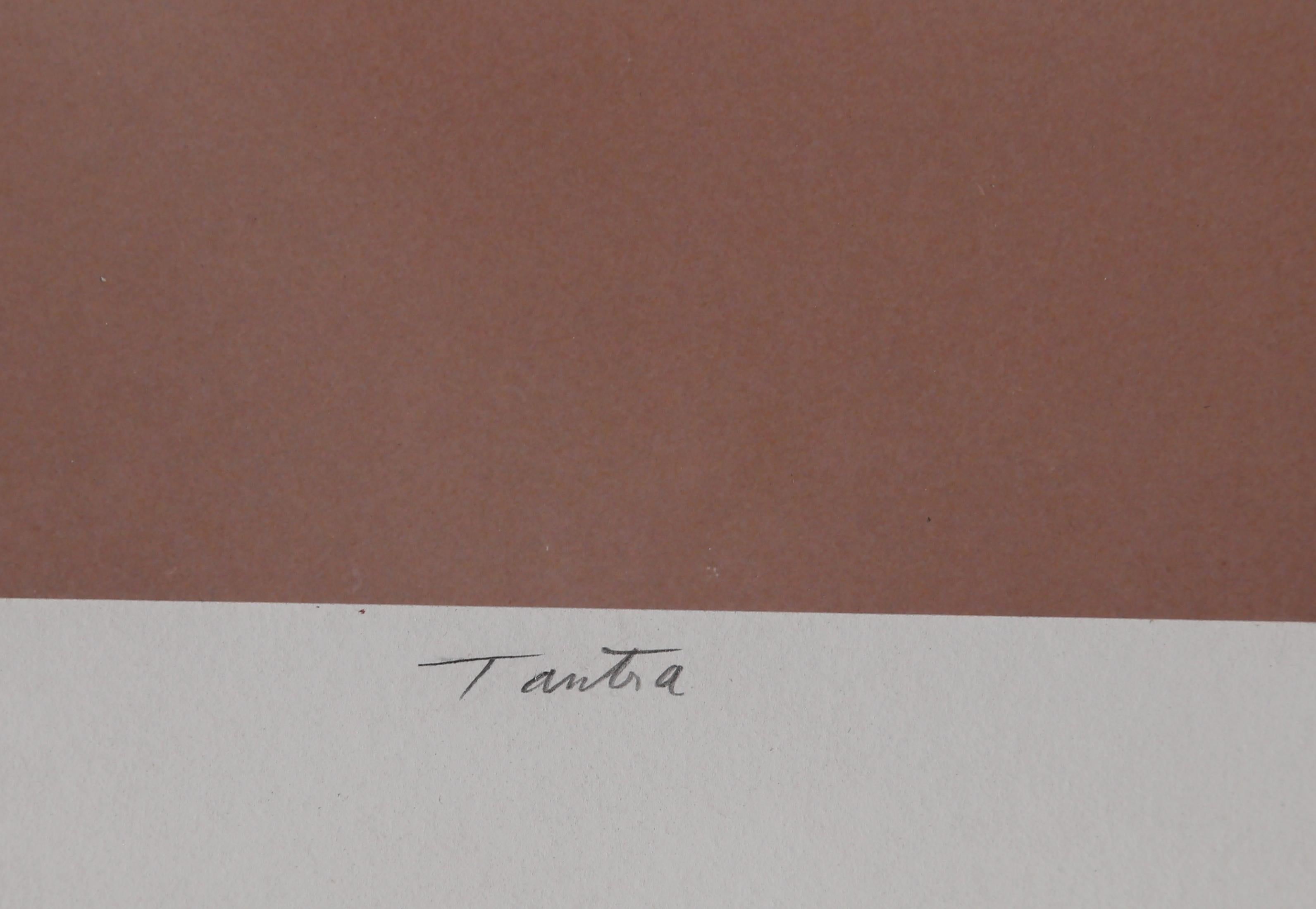 Tantra, Surrealistische Farbfotografie von Michael DeCamp im Angebot 2
