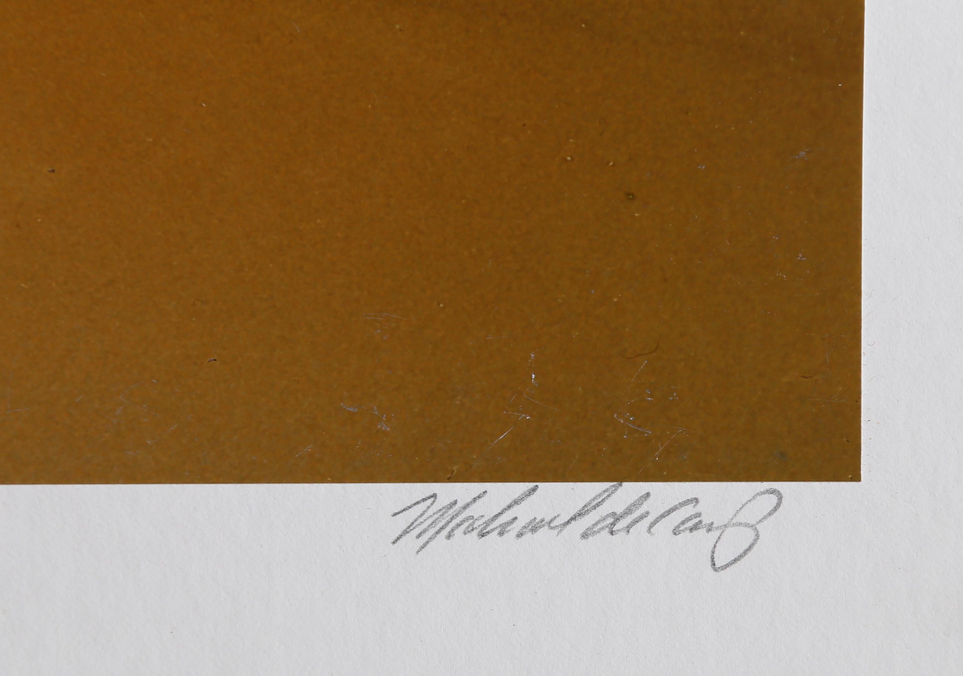 El Alquimista, Fotografía firmada por Michael DeCamp en venta 1
