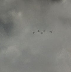 Fly by the moon, Painting, Oil on Canvas