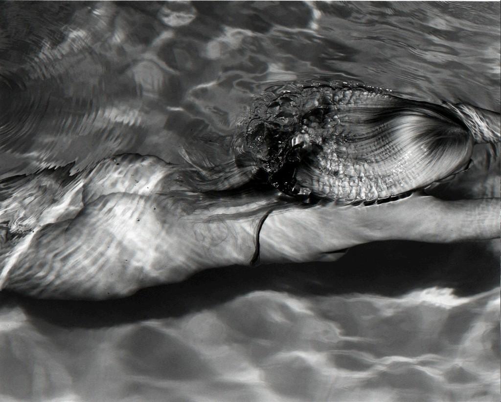 Mermaid 1, Amagansett - Photograph by Michael Dweck