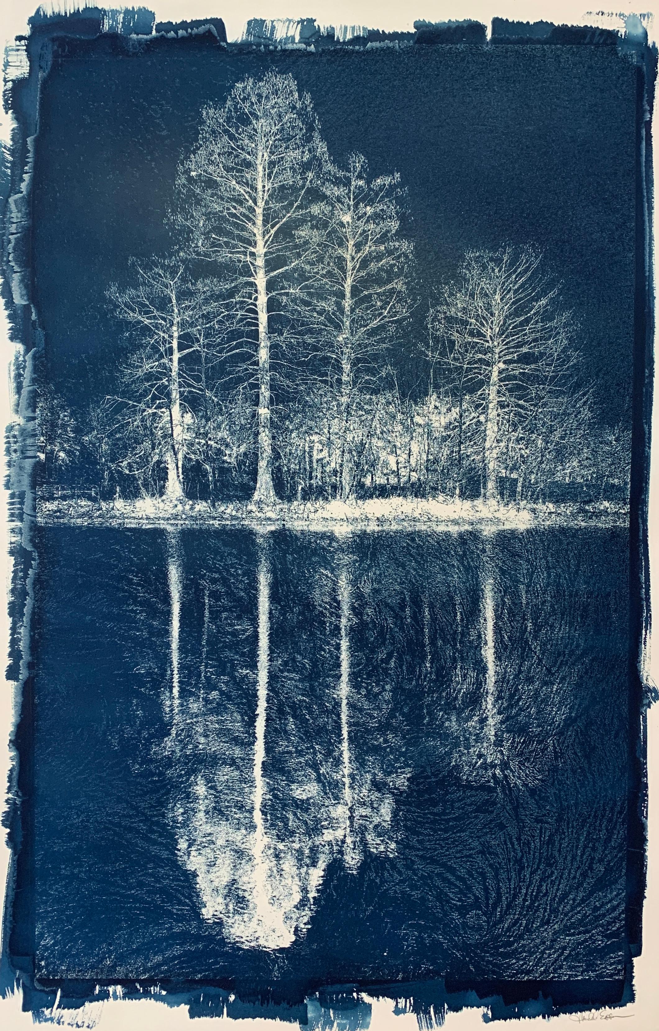 "Cyanotype 05", Contemporary, Photography, Printed, Paper, Unframed