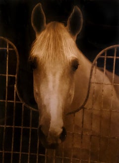 Michael Eastman, Horse #3, archival pigment ink print