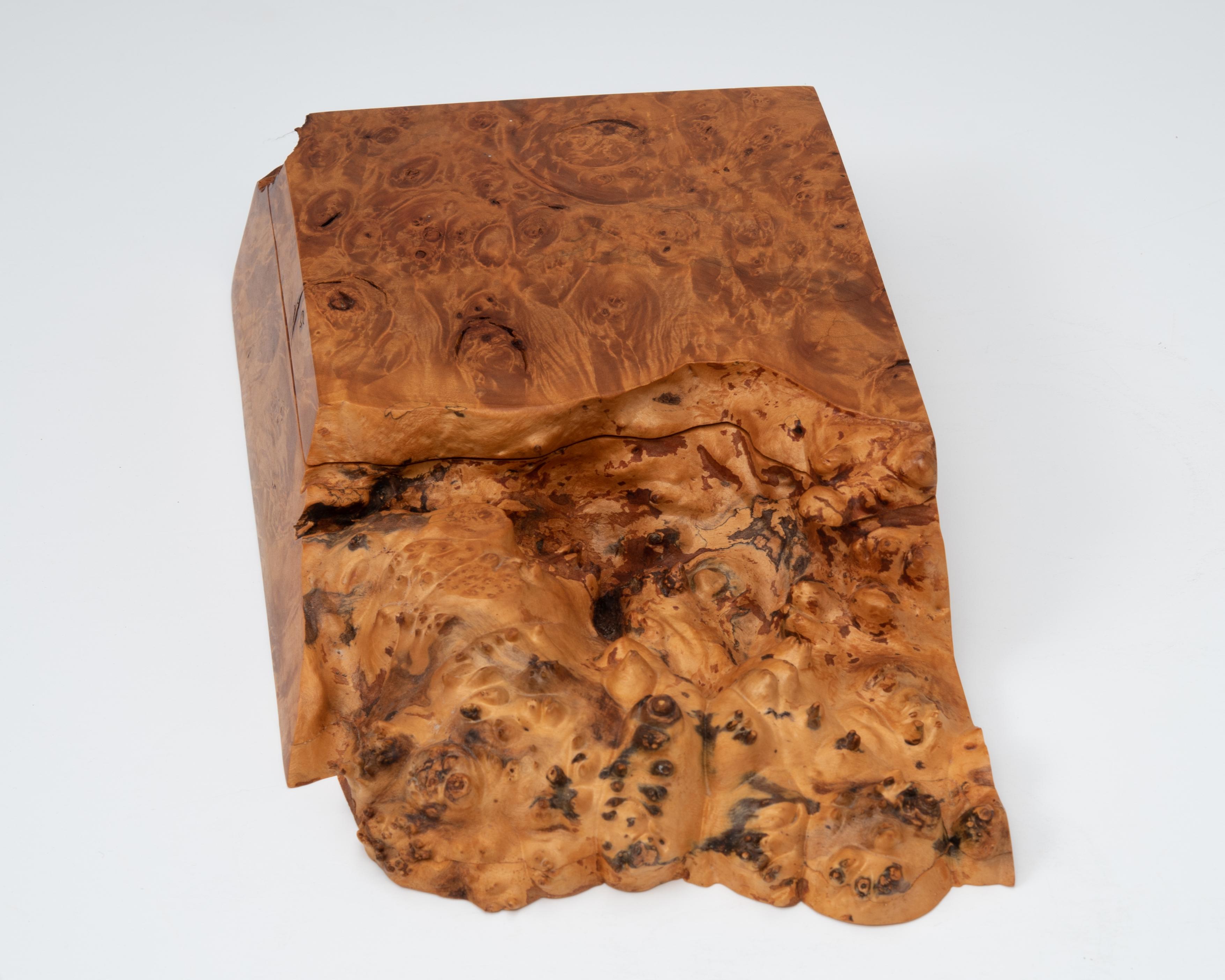Eine organische, moderne Studiobox aus Vogelaugenholz, Wurzelmaser und leicht gespaltenem Holz des Künstlers Michael Elkan. Der Klappdeckel lässt sich öffnen und gibt den Blick auf zwei abgedeckte Fächer frei, in denen Schmuck oder andere