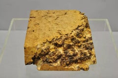 Michael Elkan Large Burl Wood Studio Crafted Jewelry Trinket Desk Storage Box