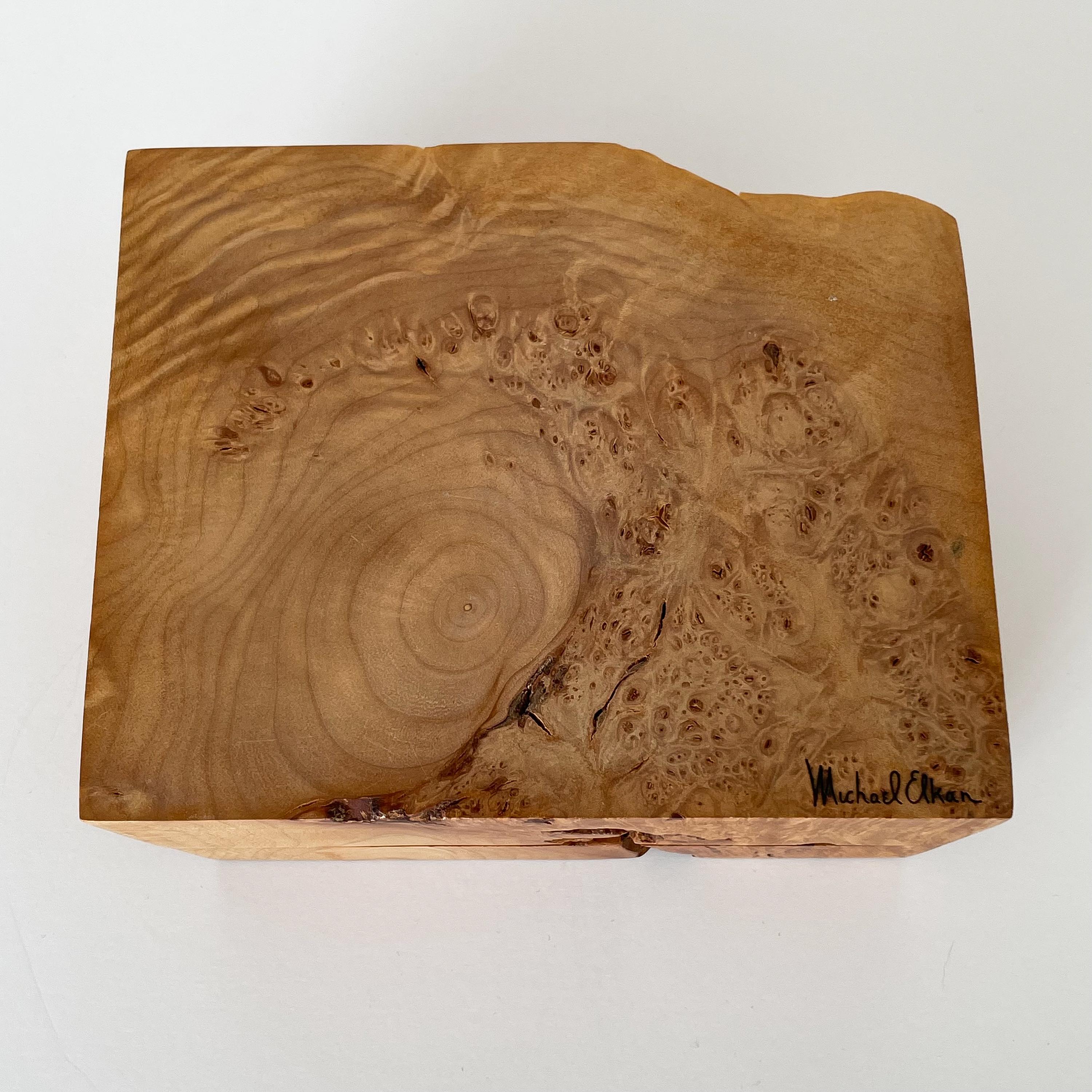 Michael Elkan Studio Craft Carved Burl Wood Box 4