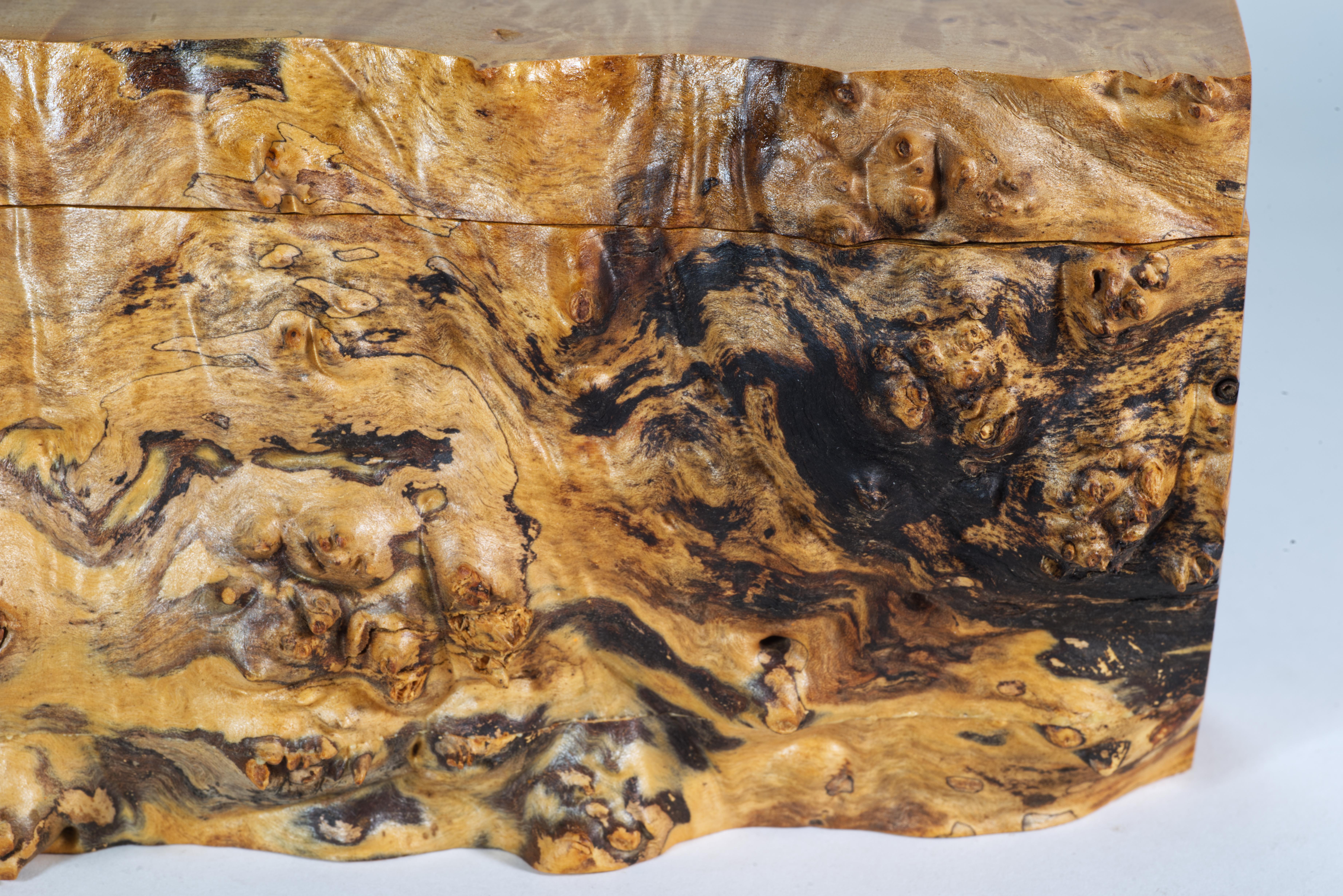 Michael Elkan Studio Caja grande de arce de Oregón de canto vivo con tapa siglo XX en venta