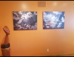 Michael Falco Photography Double Exposure Wonder Wheel Coney Island Ferris Wheel