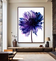 A Botanical 27, Photograph, Archival Ink Jet
