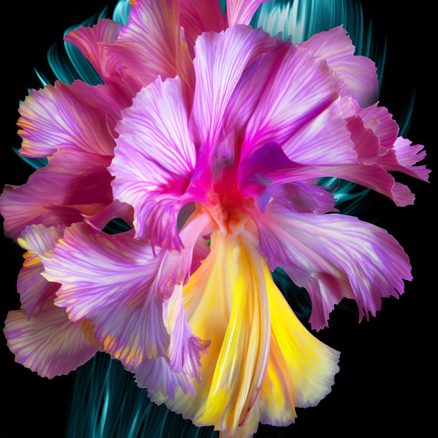 Color Photograph Michael Filonow - A Botanic 5, photographie, encre d'archives