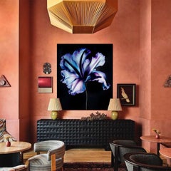 A Botanical 19, Photograph, Archival Ink Jet