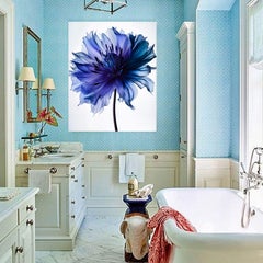 A Botanical 37, Photograph, Archival Ink Jet