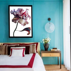 A Botanical 44, Photograph, Archival Ink Jet