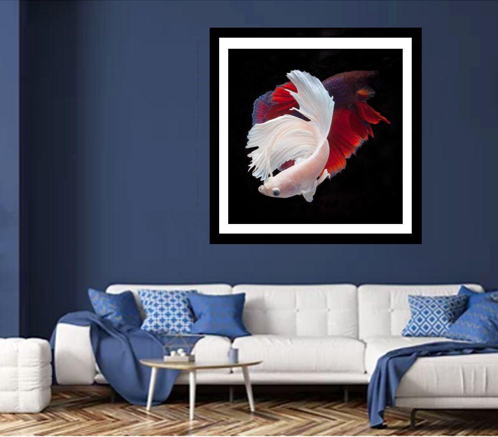 Color Photograph of 2 Male Beta Fish Swimming on Black :: Photograph :: Color :: This piece comes with an official certificate of authenticity signed by the artist :: Ready to Hang: No :: Signed: Yes :: Signature Location: On Back ::  :: Diagonal ::