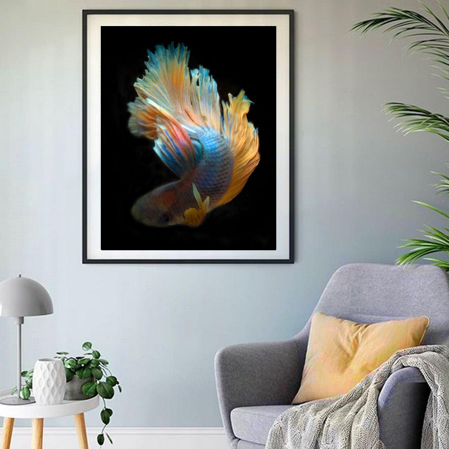 Color Photograph of a Male Betta Fish swimming on black. :: Photograph :: Color :: This piece comes with an official certificate of authenticity signed by the artist :: Ready to Hang: No :: Signed: Yes :: Signature Location: On Back ::  :: Portrait