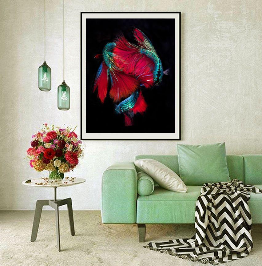 Color Photograph of Several Red and Green  Male Beta Fish Swimming on Black.  Printed on Archival Fine Art Paper. :: Photograph :: Color :: This piece comes with an official certificate of authenticity signed by the artist :: Ready to Hang: No ::