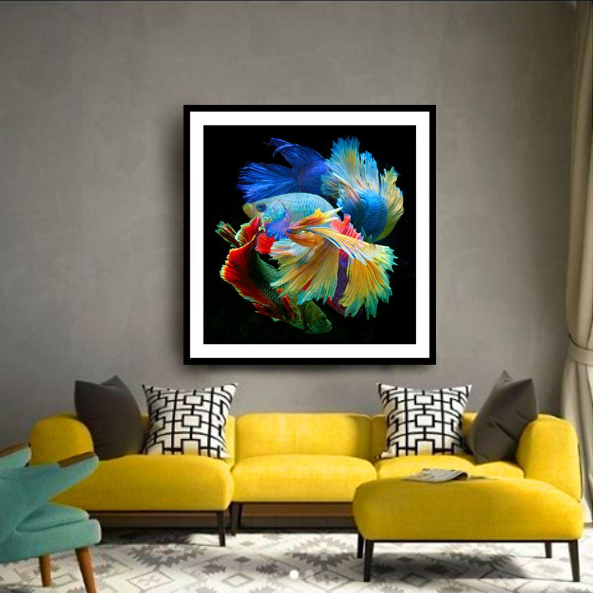Color Photograph of Several Male Betta Fish swimming on Black.  Printed on Archival Fine Art Paper :: Photograph :: Color :: This piece comes with an official certificate of authenticity signed by the artist :: Ready to Hang: No :: Signed: Yes ::
