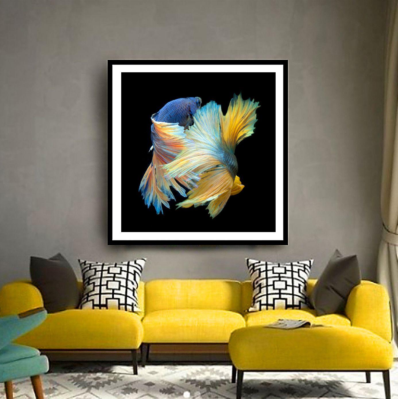 Color photograph of several male Betta fish swimming on black. :: Photograph :: Color :: This piece comes with an official certificate of authenticity signed by the artist :: Ready to Hang: No :: Signed: Yes :: Signature Location: On Back ::  ::