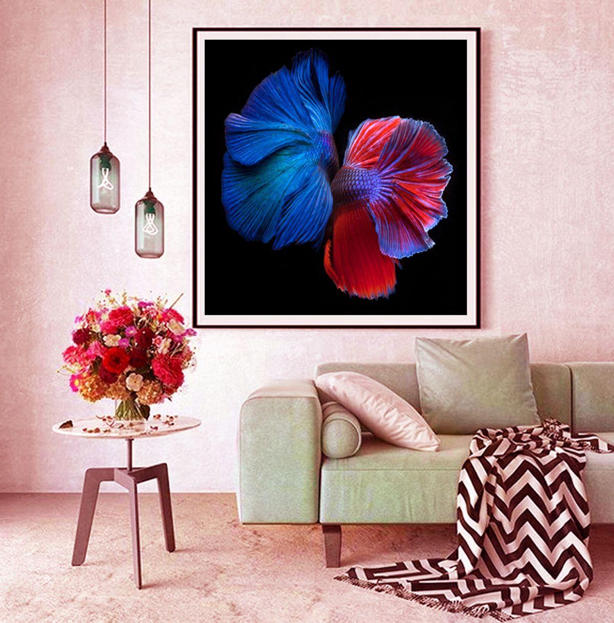Photograph of 2 male Betta fish swimming on black. :: Photograph :: Color :: This piece comes with an official certificate of authenticity signed by the artist :: Ready to Hang: No :: Signed: Yes :: Signature Location: On Back ::  :: Diagonal ::